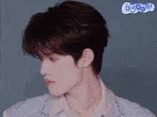 Zhang Jiayuan Liu Yu GIF