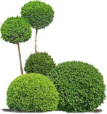 Ich machen im garten die hochbeete bereit für die saison, ziehe gemüsepflanzen vor, test. Garten Wohnen Zinser Herrenberg Gartenartikel Und Wohnasseccoires Zwischen Tubingen Boblingen Sindelfingen Rottenburg Horb Nagold Und Stuttgart Mit Raritaten Und Dekorationen Von Pflanzen Gefassen Skulpturen Garnituren Feuer Fur In