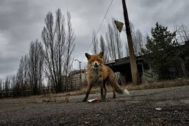 Abyss, starring and • chernobyl: Chernobyl 30 Years After Phmuseum