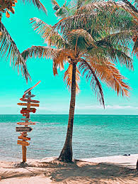 Check Out My Latest Blog Post With Everything You Need To Know About Visiting Utila Honduras In 2020 Utila Beach Village Honduras