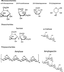 Monosaccharides An Overview Sciencedirect Topics