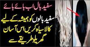 We did not find results for: Reverse Gray Hair Naturally Latest Recipes Home Cooking And Baking