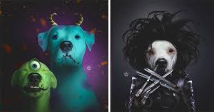 Leave your comments cancel reply. I Can Has Cheezburger Photoshop Funny Animals Online Cheezburger