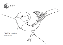 Image result for Kohlmeise vogelhouse