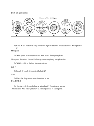 Plant cell and animal cell explain. Bio