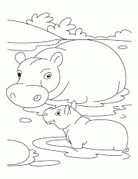 We did not find results for: Hippopotamus Coloring Pages Coloring Home