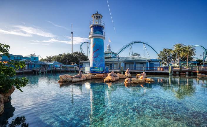 SeaWorld Orlando owner: Theme park attendance, revenue down