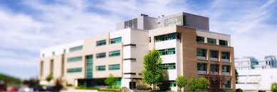 Contact Us Guelphhumber Ca