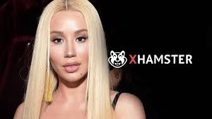 Porn Co. Defends Iggy Azalea in Nude Photo Leak Scandal: Its a Violation  of Iggys Rights HD phone wallpaper
