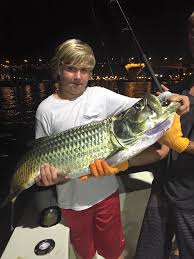 Book now · fishing trips The Mullet Run Is Starting Tarpon Tarpon Tarpon Fort Lauderdale Fishing Charters