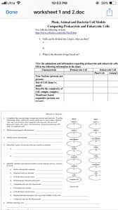 We did not find results for: Date Period Names Unit Iv Cel Energy Worksheet L Chegg Com