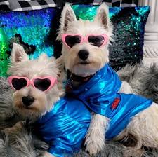 Barbara Anne DeBolt added a new...