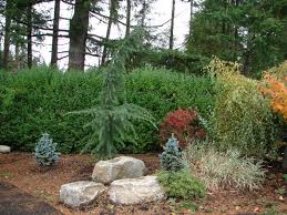 Mountain View Landscape Design Ideas Landscape Design Landscape Grass Painting