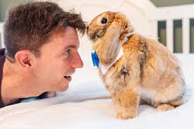 Welcome new members, remember group rules