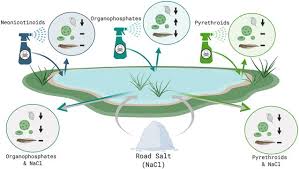 Pesticides are used predominantly by the agricultural sector. Beyond Pesticides Daily News Blog Blog Archive Pesticides And Road Salt A Toxic Mixture For Aquatic Communities Beyond Pesticides Daily News Blog