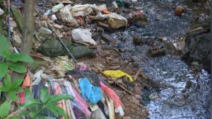 Sebagai tambahan, beberapa tips berikut ini juga bisa kamu simak sebelum memulai usaha daur ulang sampah plastik. Sungai Dipenuhi Sampah Punca Banjir