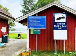 Image result for Motandra