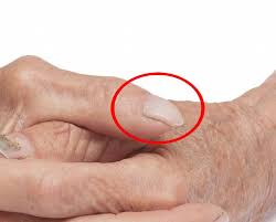 Über 80% neue produkte zum festpreis. Schulungsunterlagen Basis Seminar Gel Theorie Pdf Free Download