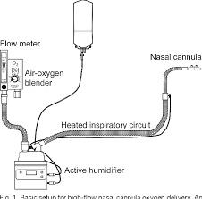 It requires only a flow generator, active heated humidifier, single heated circuit, and nasal cannula. Pdf High Flow Nasal Cannula Oxygen Therapy In Adults Physiological Benefits Indication Clinical Benefits And Adverse Effects Semantic Scholar