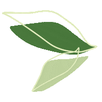 Raindrops falling down on tree leaves. Grow Falling Leaves Sticker By Lillydoo