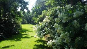 Le Jardin De Bellevue Beaumont Le Hareng 2020 All You Need To Know Before You Go With Photos Tripadvisor