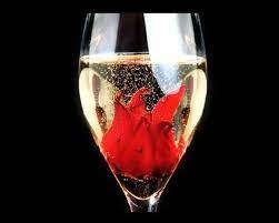 Hibiscus flowers can be eaten raw pickled or boiled. Edible Hibiscus Flower In Champagne For Toast Stemless Wine Glass Wine Art Sparkling Juice