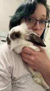 Rehoming a female rabbit in Ballard County, KY