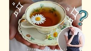 必見 ハーブティーは効果なし 効果が出るまでの期間は約3カ月 お茶ラボ
