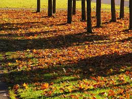 Bildergebnis für Föhntag