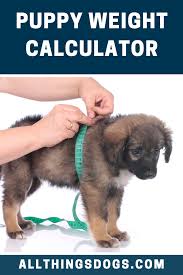 Pin On Dog Anatomy