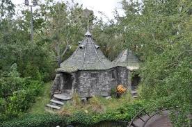 Hagrid S Hut Blueprints Google Search Hagrids Hut Hut Building Plans