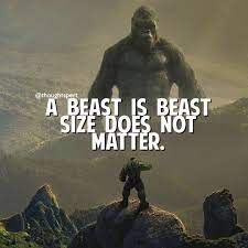 Pin On Gym Quotes