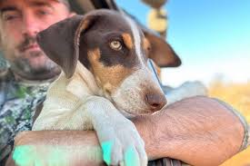 Dries Visser Safaris Review