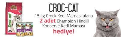 pethizmeti com petshop pet shop kopek kedi kus hills proplan hills kopek mamasi hills kedi mamasi proplan kopek ma kedi kopek kulubeleri hamsterlar