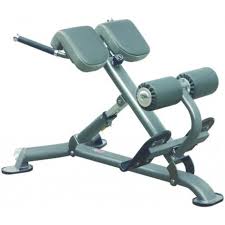 Banc Musculation Professionnel A Lombaires Athlonia Pro