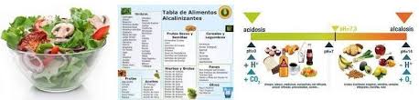 Please fill this form, we will try to respond as soon as possible. La Dieta Alcalina En Pdf Con Menu Recetas Alimentos Alcalinos