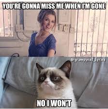 Pin By Guadalupe Ayala On Funny Stuff Funny Grumpy Cat Memes Grumpy Cat Quotes Funny Cat Memes
