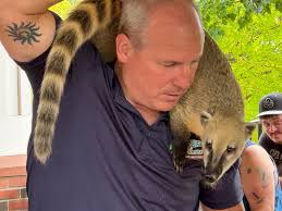 Can anyone recommend a service company for a portable generator. It's a  Predator 6500 Watt Portable Generator. Bought new in 2021. Used it last  year for 3 hrs till the power came