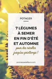 7 Legumes A Semer En Fin D Ete Au Potager Potager Jardin Potager Jardinage Potager