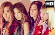 Rose, kpop, lisa, jenny, blackpink, jisoo, rosé. Kpop Blackpink Chibi Wallpaper Hd Kpop Blackpink Chibi Custom New Tab Hd Wallpapers Backgrounds