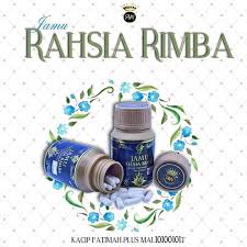 Habbatussauda atau jintan hitam (nigella sativa) adalah tumbuhan yang bijinya sudah sering dikonsumsi karena dipercaya bermanfaat untuk kesehatan. Pengobatan Dan Khasiat Herbal Khasiat Habbatussauda Untuk Wanita
