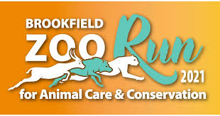 Ta gane ta yanzunnan, bayan kuma, ita ce babbar jika ga dangin su, kuma ta shahara sosai a cikin zuriya ta biyu na eastcliff, kuma… 2021 Brookfield Zoo Run Results