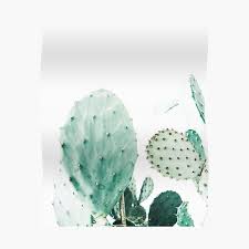 Thank you for your help. Cacti Art Posters Redbubble