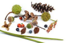 So verwandeln sich naturmaterialien mit fantasie und kreativität in tolle dinge, die man nachbasteln oder nach lust und laune unendlich variieren kann. Basteln Mit Naturmaterialien Kreatives Gestalten Mit Naturmaterialien Fur Kinder