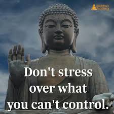 Don T Stress Over What You Can T Control Buddha Quote Buddhism Quote Buddha Thoughts