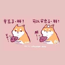 棉花糖柴柴 廢貓阿米 marshmallowshiba procreate ipadpro sketch pencil dog pictures shiba cute amix cat shiba character fictional characters