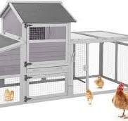 Coop de poulet Aivituvin avec rou Cage de volaille Burkina Faso | Ubuy