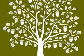 See full list on homefortheharvest.com Growing Oaks Socialworker Com