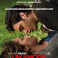 Italian Cinema at NIAF Featuring “Un Amore Così Grande”