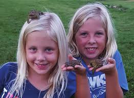 FOREST & WILDLIFE ECOLOGY